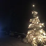 Bergwald Alpbach