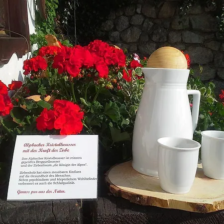 Bergwald Apartment Alpbach