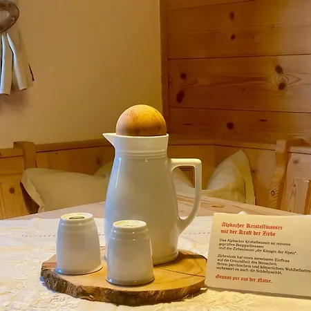 Apartment Bergwald Alpbach