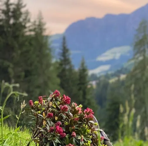 Bergwald 알프바취