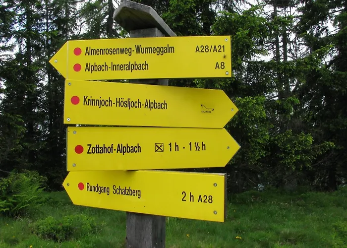 Bergwald 알프바취