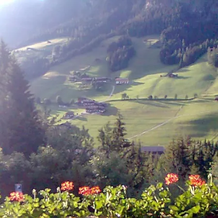 Bergwald