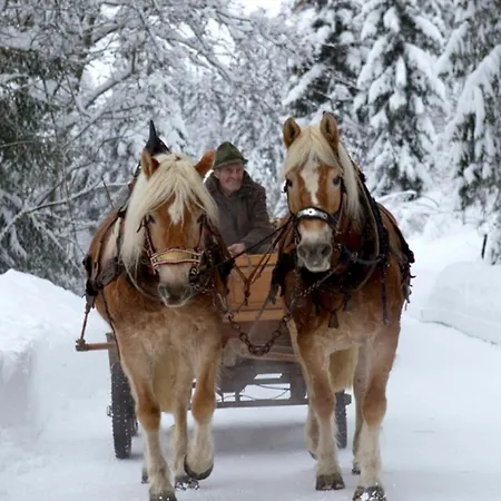 Appartamento Bergwald *