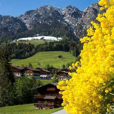 Bergwald Apartamento