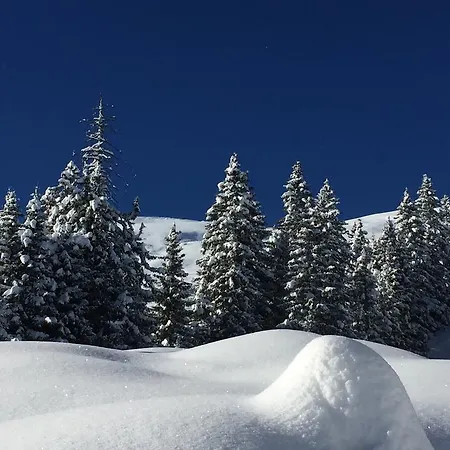 Appartamento Bergwald