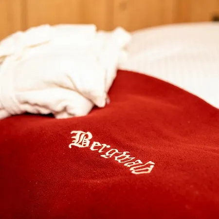 Apartamento Bergwald *