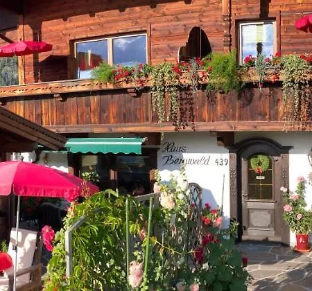 Bergwald Apartment