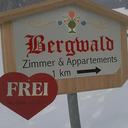 Bergwald Apartment Alpbach