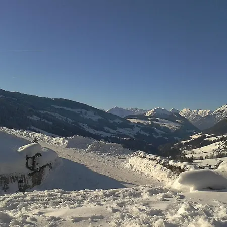 Bergwald Alpbach