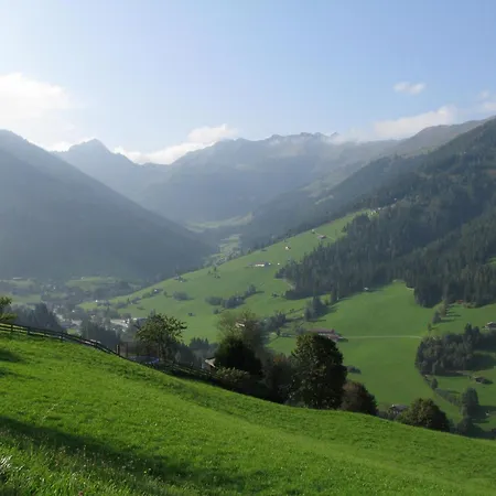Bergwald