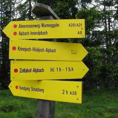 Bergwald Alpbach