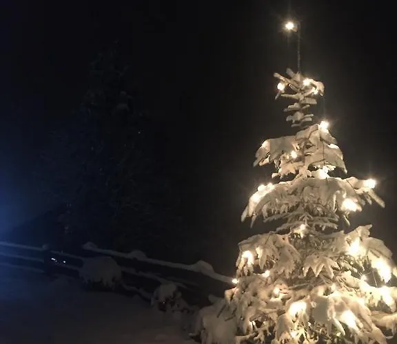 Bergwald アルプバッハ